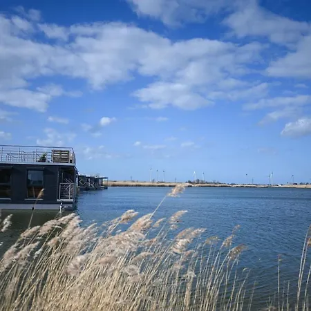 Hausboot Kajuete Am Nixensteg Am Wangermeer Mit Hund Schillig