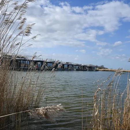 Botel Hausboot Kajuete Am Nixensteg Am Wangermeer Mit Hund