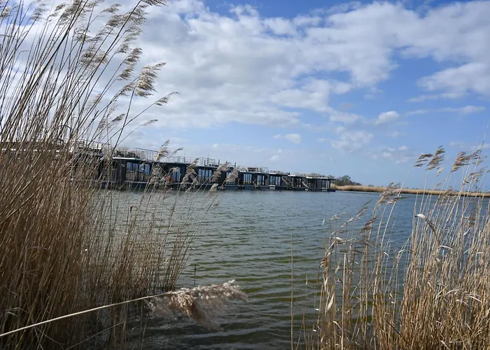 Hausboot Kajuete Am Nixensteg Am Wangermeer Mit Hund